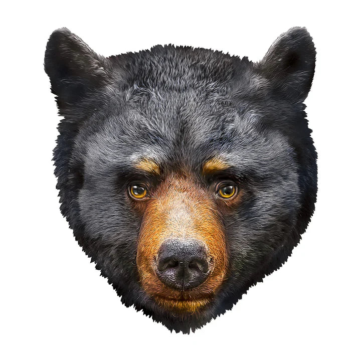 Black Bear - Shaped (100pcs)