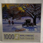 PFG A Date to Skate (Usagé/Used - PUZZLES FOR GOOD)