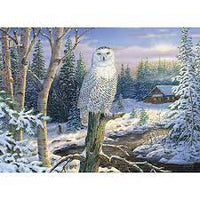 PFG Whispering Ridge Snowy Owl (USAGÉ / USET - Puzzles pour de bon)