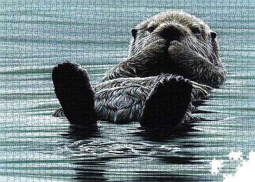 Détente - Loutre de mer - Édition Collector (1000 pièces)