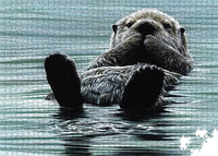 Kicking Back - Sea Otter - Collector's Edition (1000pcs)