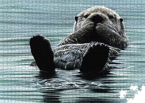 Kicking Back - Sea Otter - Collector's Edition (1000pcs)
