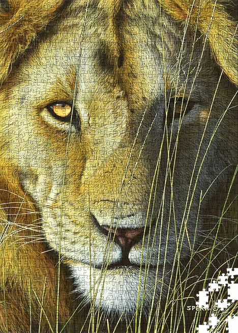 Return of the King - Lion - Collector's Edition (1000pcs)
