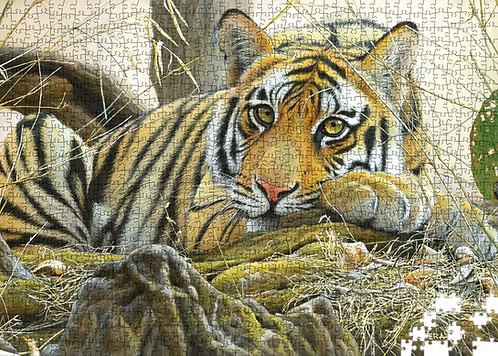 I'm Bored - Tiger - Collector's Edition (1000pcs)