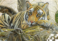 I'm Bored - Tiger - Collector's Edition (1000pcs)