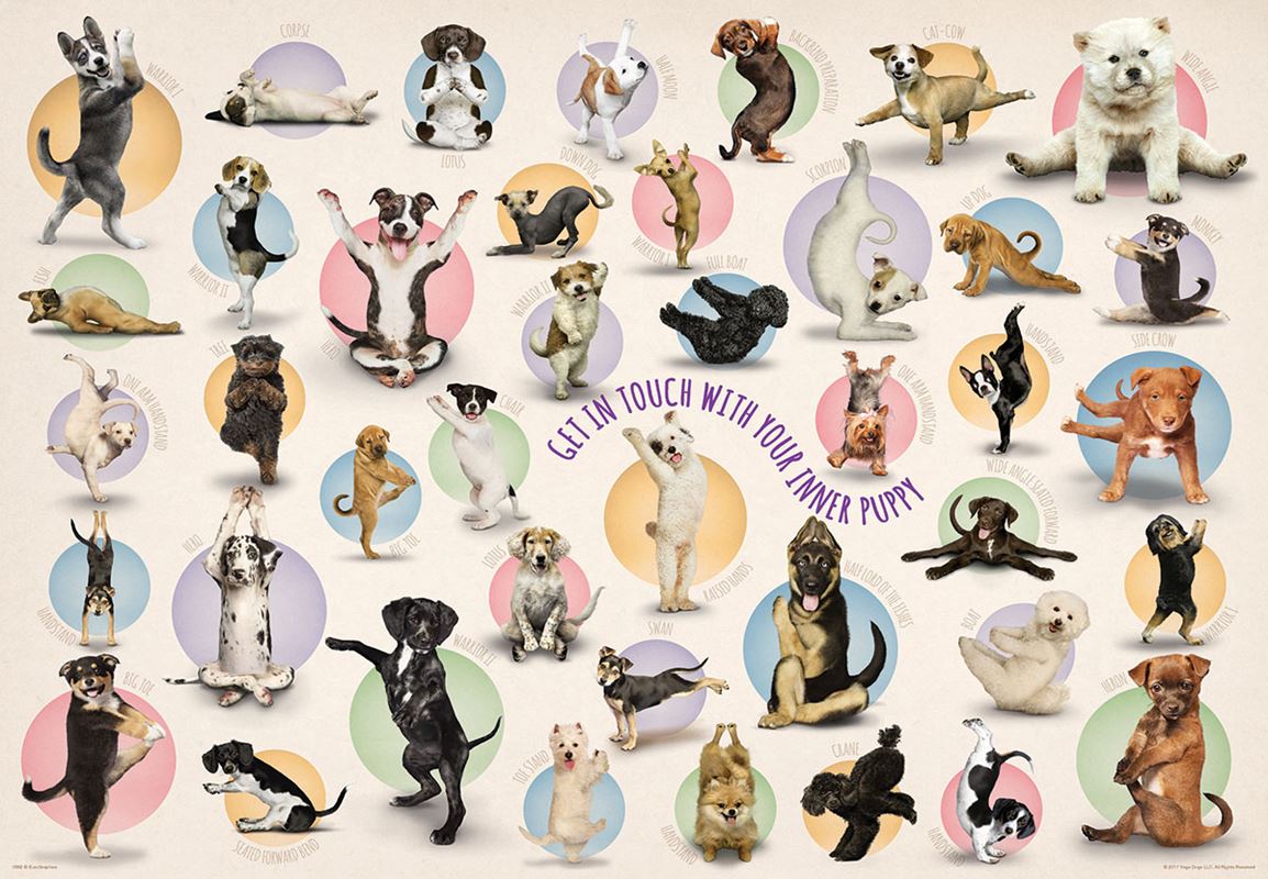 PFG Yoga Puppies, Get in Touch With Your Inner Puppy (300pcs) (Usage/Used - PUZZLES FOR GOOD)