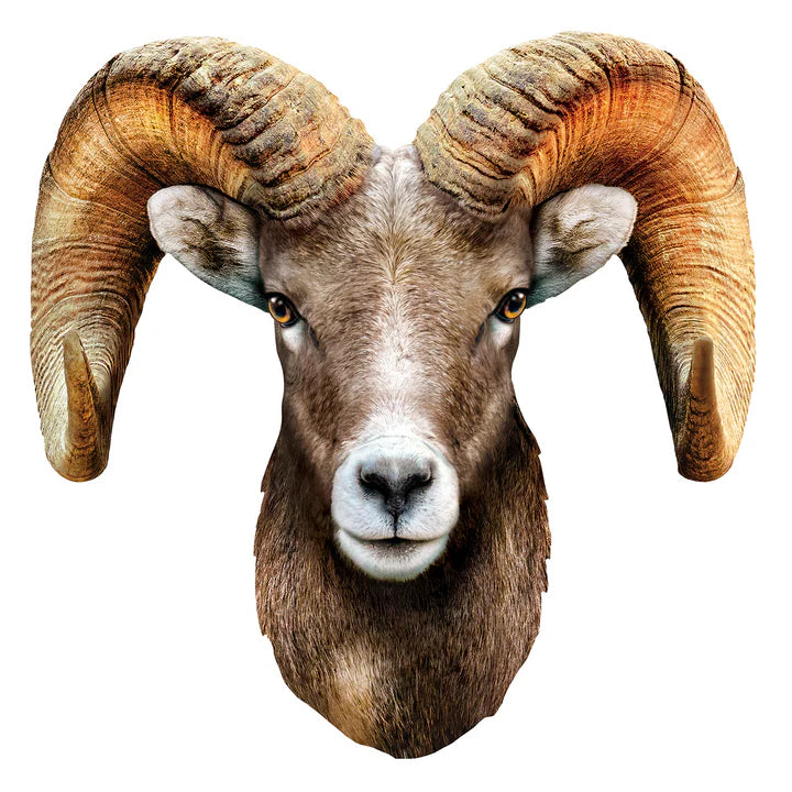 Rocky Mountain Bighorn Sheep - Shaped (100pcs)