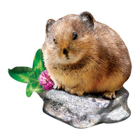 Pika - en forme (100pcs)