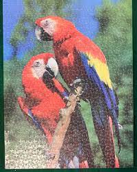 PFG Perroquets (Utilisation/Occasion - PUZZLES FOR GOOD)