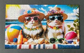 Chats de plage PFG (Utilisation/Utilisé - PUZZLES POUR LE BIEN)