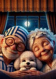 Playful Seniors - Moonlit Cozy Night (1000pcs)