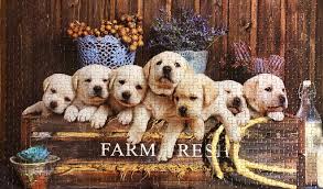 Chiots de laboratoire PFG Farm Fresh (Utilisation/Utilisé - PUZZLES FOR GOOD)