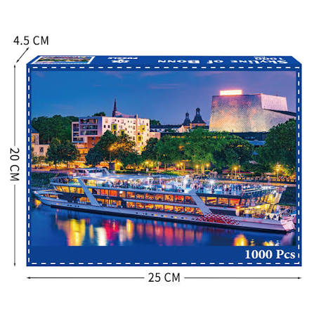 PFG Skyline of Bonn (Usagé/Used - PUZZLES FOR GOOD)