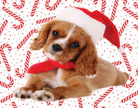 Jingle Time - Puppy with Scarf (100pcs)