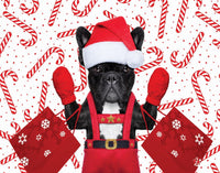 Jingle Time - Puppy with Mitts (100pcs)