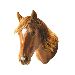 Furry - Horse - Shaped (48pcs)