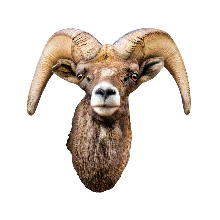 Desert Bighorn Sheep - Shaped (100pcs)
