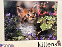 PFG Maine Coon Kitten (Utilisation / Utilisé - Puzzles pour de bon)