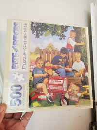 PFG The Boys of Summer (Usagé/Used - PUZZLES FOR GOOD)