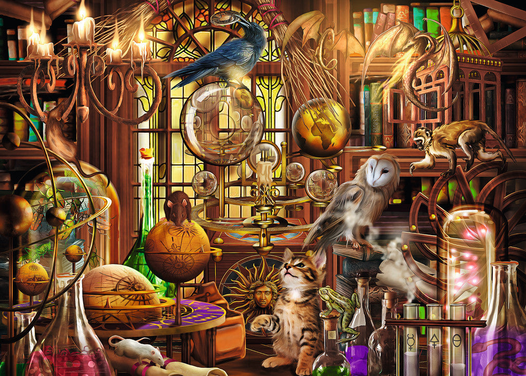 PFG Ravensburger Merlin's Laboratory (1000pcs) (Usage/Used - PUZZLES FOR GOOD)