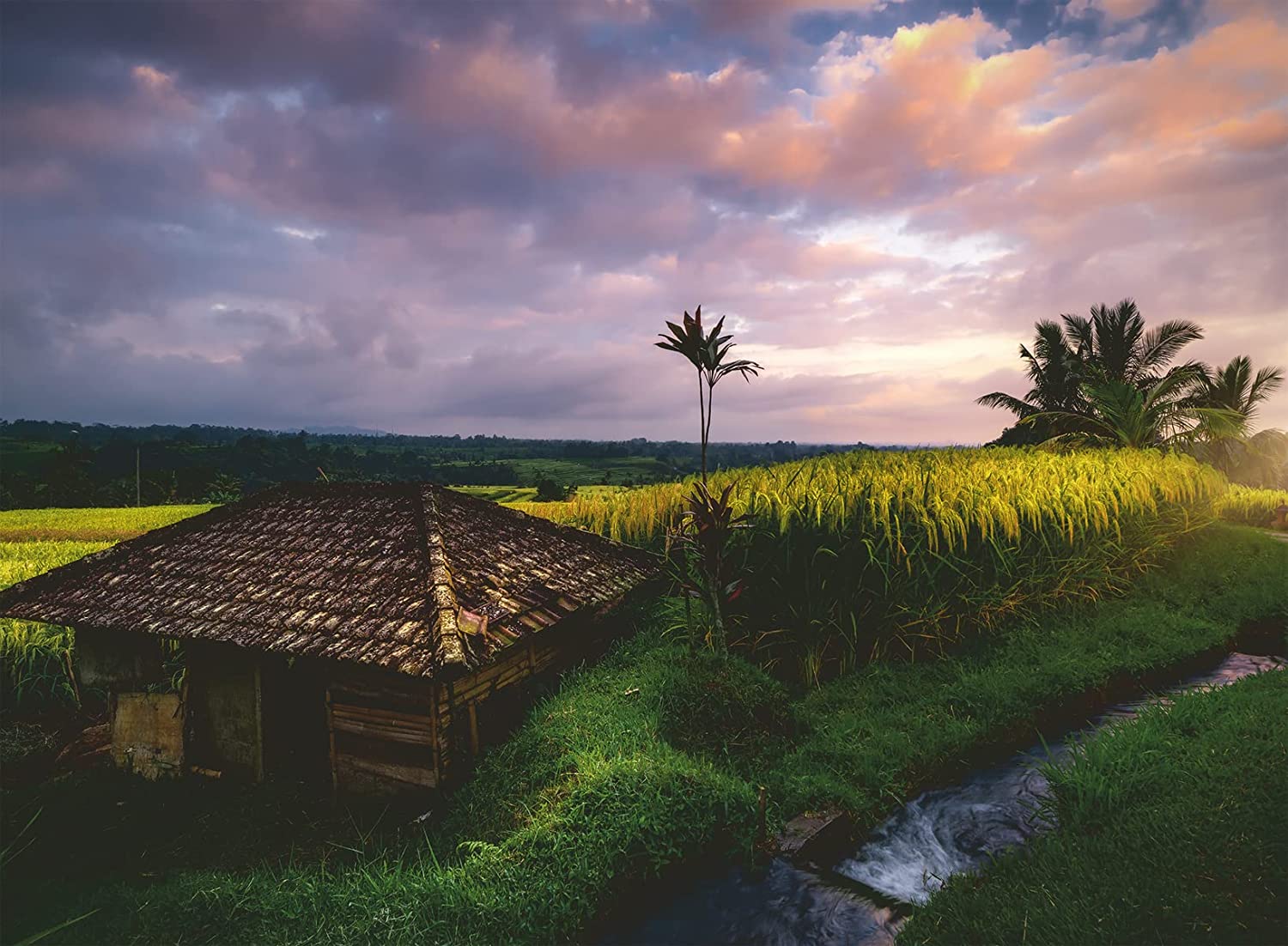 Ravensburger Nature Edition #20 - Rice Fields in Northern Bali (500pcs)