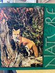 PFG Nature - Fox (USAGÉ / USET - Puzzles pour de bon)