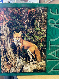 PFG Nature - Fox (USAGÉ / USET - Puzzles pour de bon)
