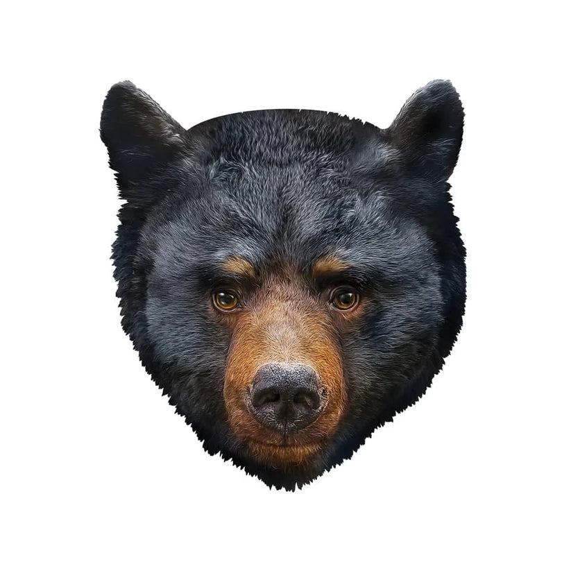 Furry - Black Bear - Shaped (48pcs)