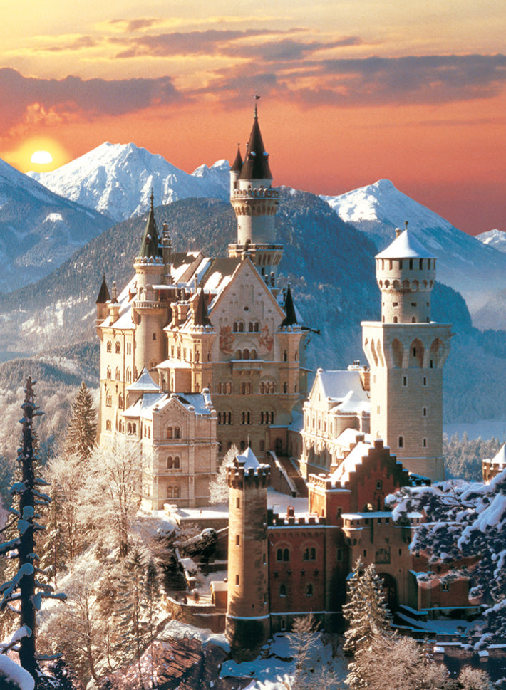 PFG Neuschwanstein (Usage/Used - PUZZLES FOR GOOD)