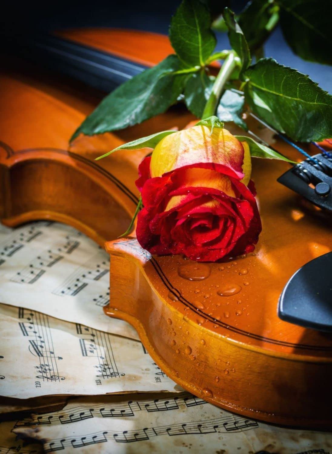 Musique, amour et tristesse (1000pcs)