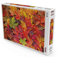 Feuilles d'automne (1000 pc)