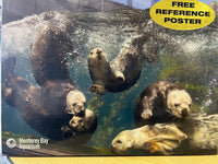 PFG Playful Otters (USAGÉ / USET - Puzzles pour de bon)