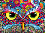 PFG OWL EYES (Utilisation / Utilisé - Puzzles pour de bon)