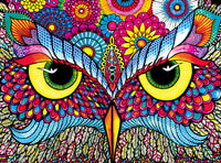 PFG OWL EYES (Utilisation / Utilisé - Puzzles pour de bon)
