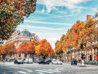 Collection de cartes postales PFG - Paris, France (300pcs) (utilisation / utilisée - puzzles pour de bon)