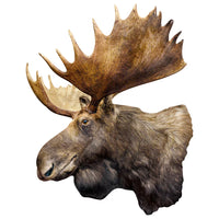 Moose - Shaped (100pcs)