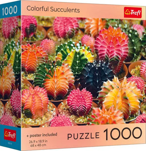 Colourful Succulents (1000pcs)