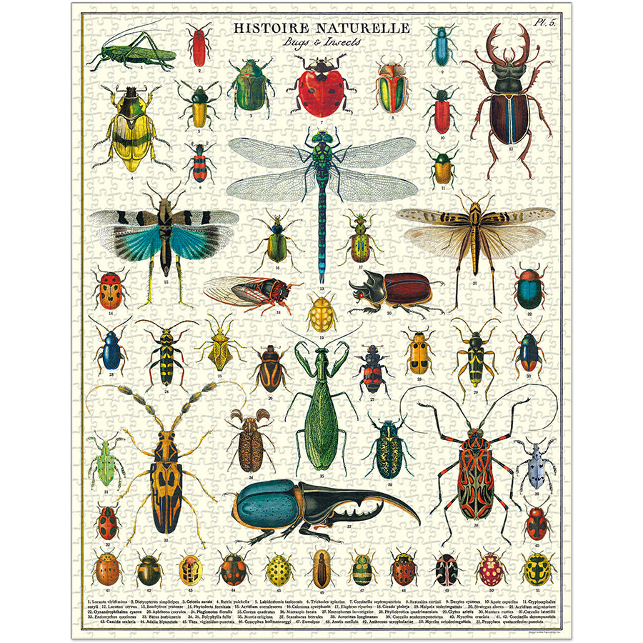 Vintage - Bugs & Insects (1000pcs)