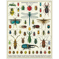 Vintage - Bogues et insectes (1000pcs)