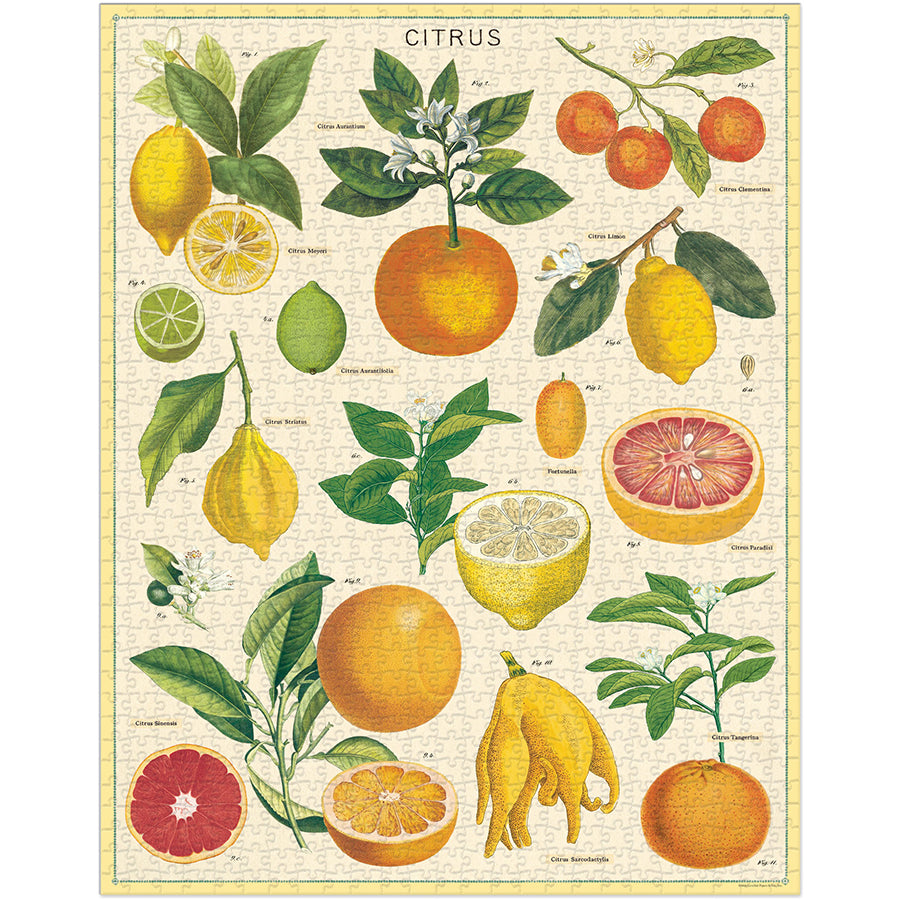 Vintage - Citrus (1000pcs)