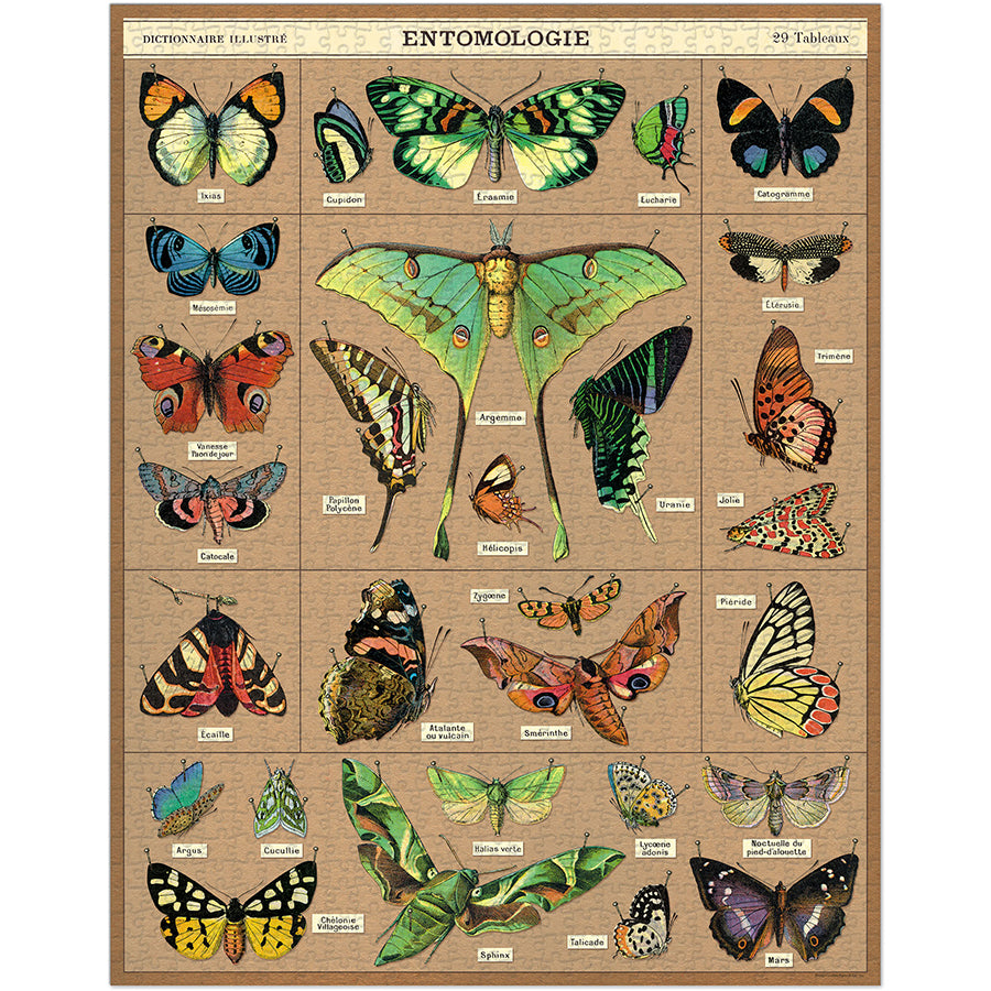 Vintage - Entomology Moths & Butterflies (1000pcs)
