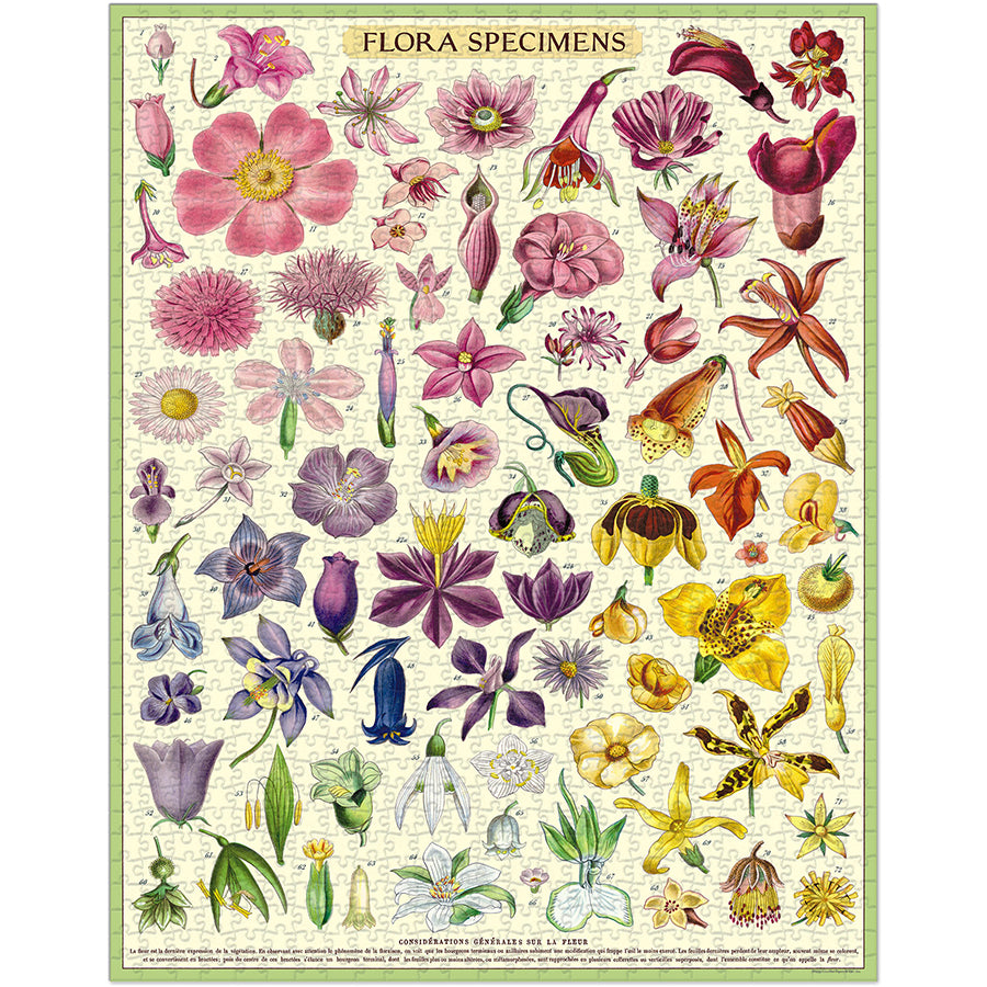 Vintage - Flora Specimen (1000pcs)