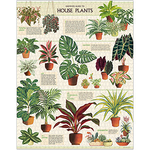 Vintage - House Plants (1000pcs)