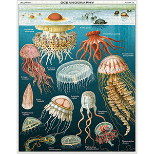 Vintage - Jellyfish (1000pcs)