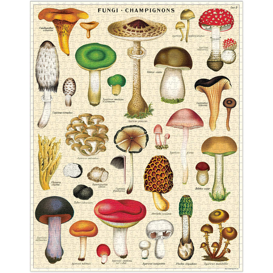 Vintage - Mushrooms (1000pcs)