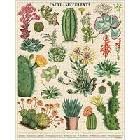 Vintage - cactus et plantes succulentes (1000pcs)