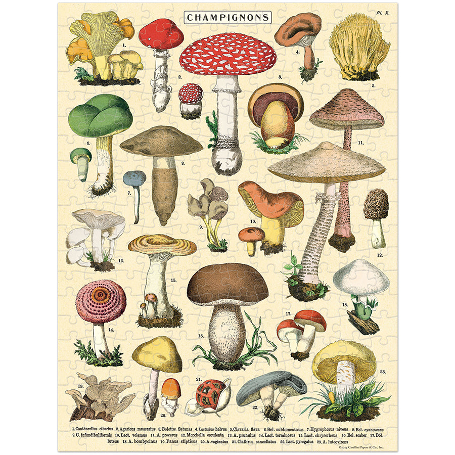 Mini - Mushrooms (240pcs)