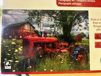 PFG Reds dans le pâturage (USAGÉ / USET - Puzzles pour de bon) (copie)