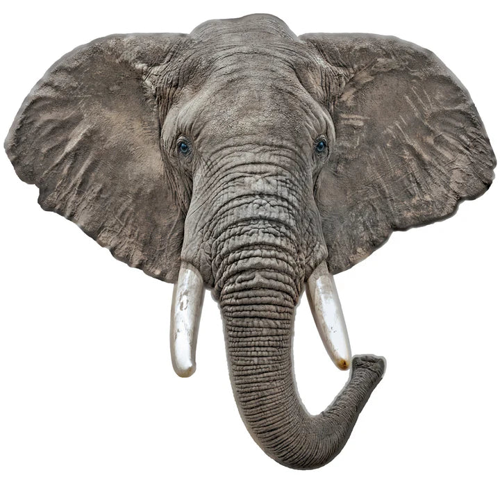 Elephant - Shaped (100pcs)