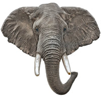 Éléphant - façonné (100pcs)